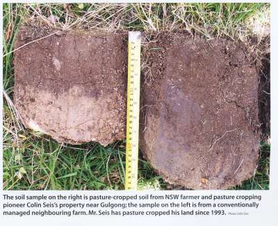 Carbon credit through farming practice